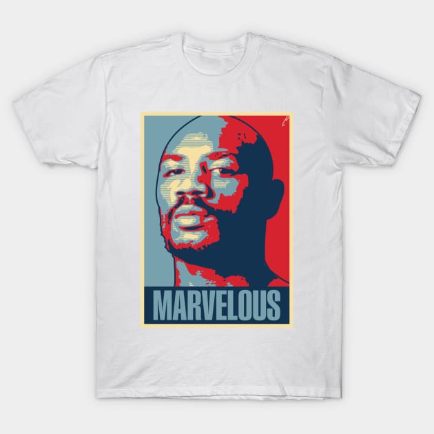 Marvelous T-Shirt by DAFTFISH